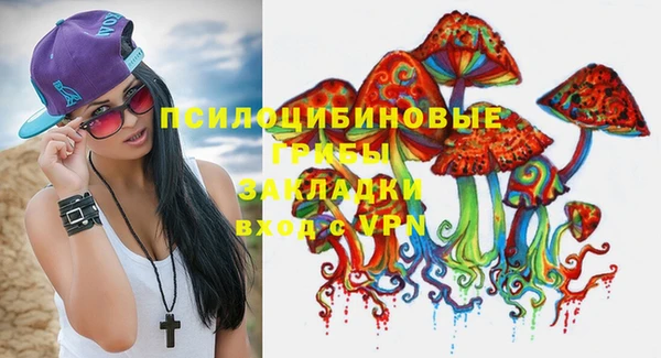 крисы Арсеньев
