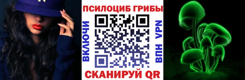 где найти наркотики  Углич  ссылка на мегу как зайти  Галлюциногенные грибы Psilocybe 